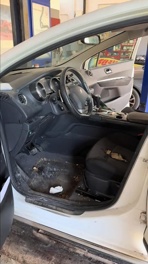 lavage auto a domicile AVG avant nettoyage royal