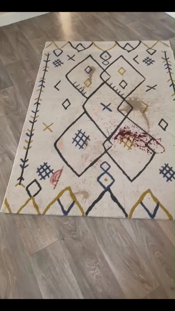 nettoyage tapis avant nettoyage royal