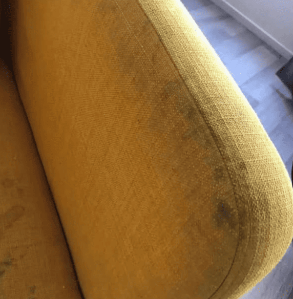 photos feuteuil avant nettoyage royal 6